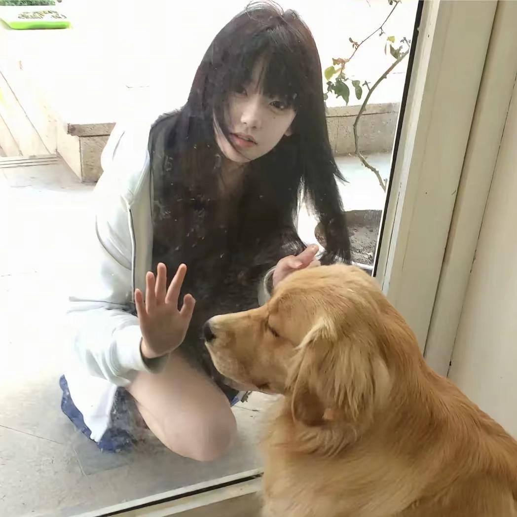 总裁好久没笑过了