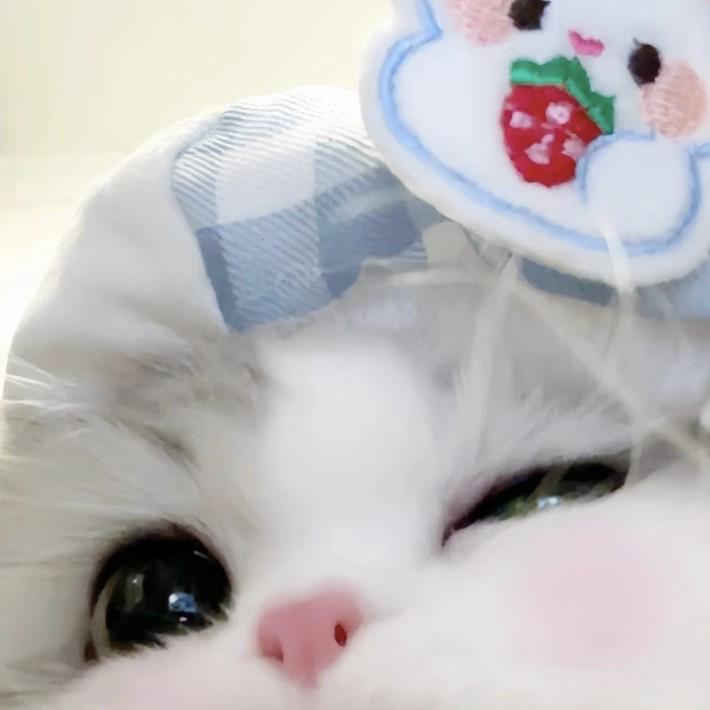 昭玥