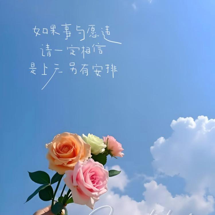 萍安