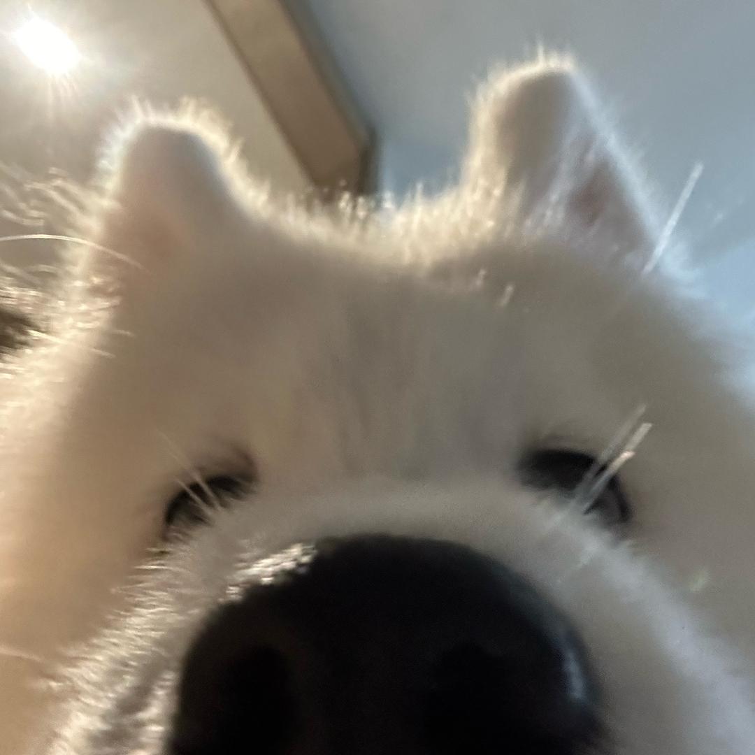 755