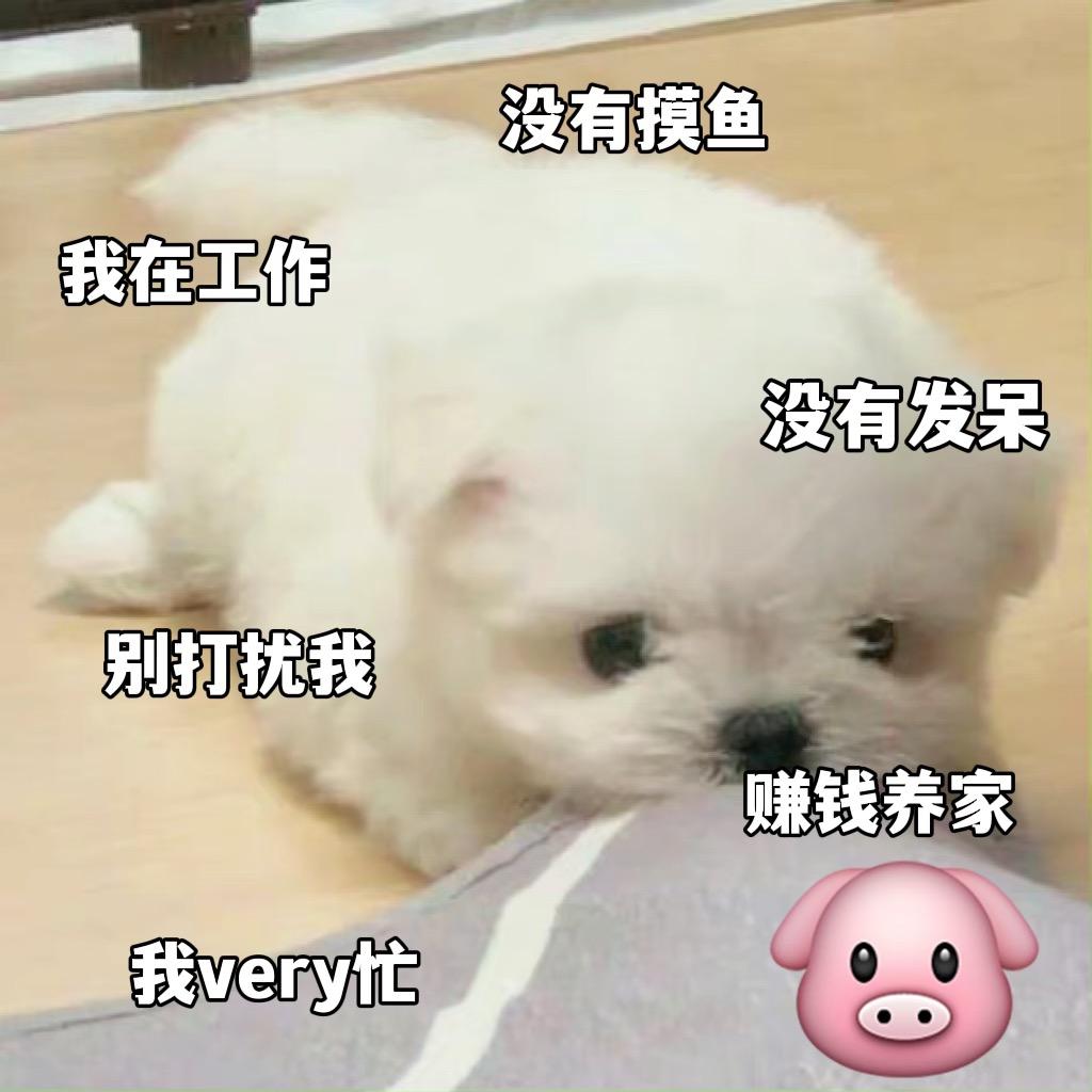 ARIES@W头像