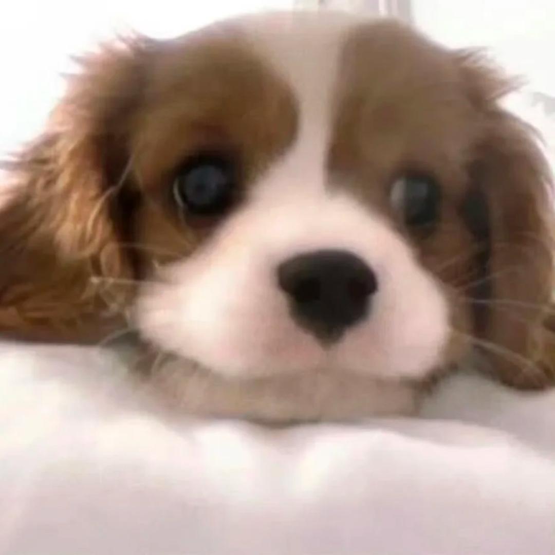 惹我的人都薯了