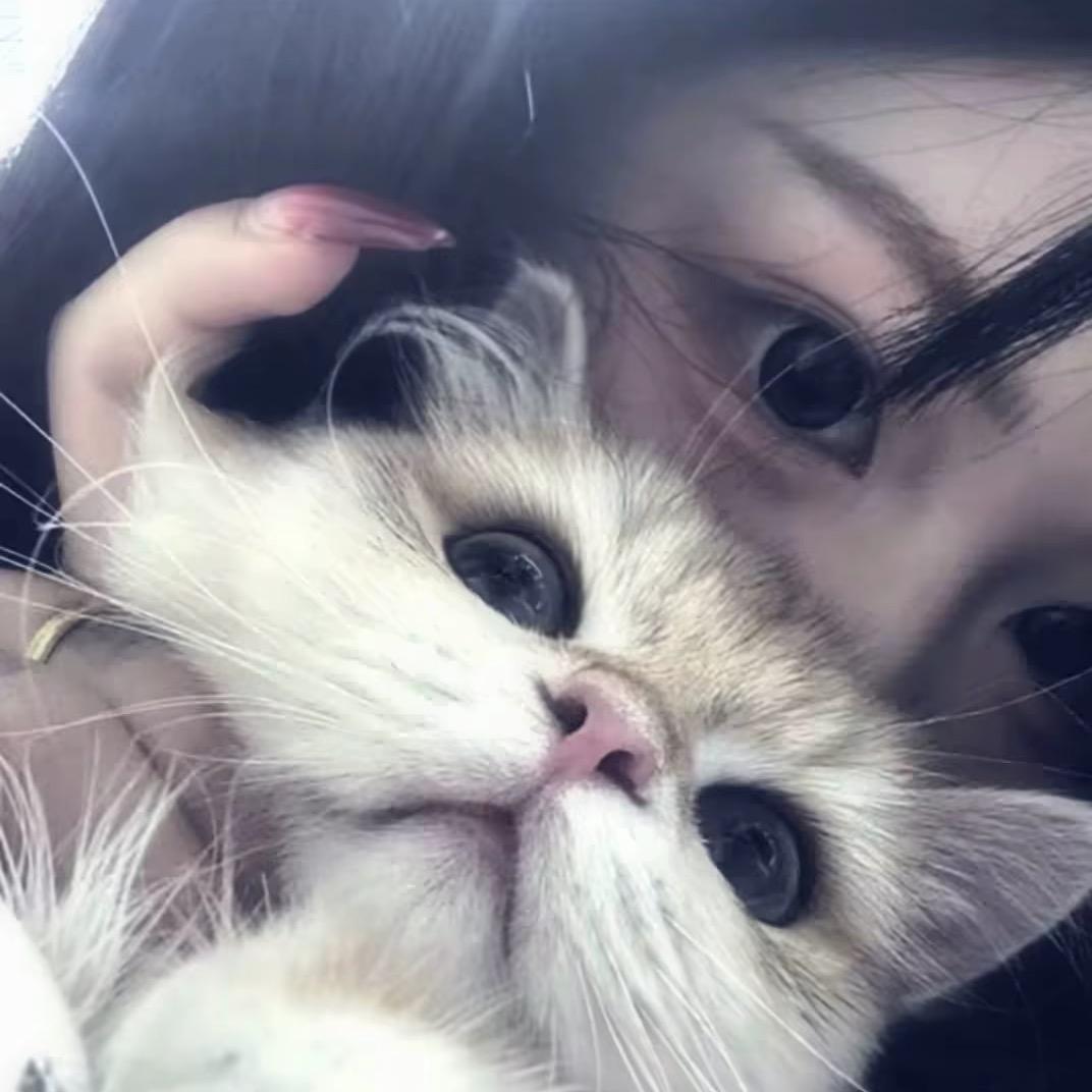 念桉.