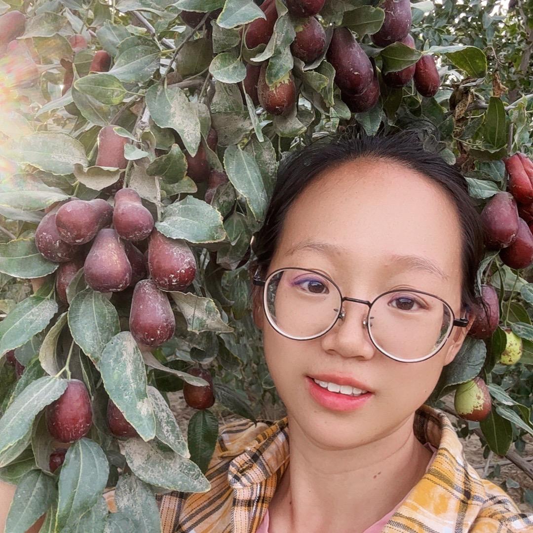 梦婷家的枣园