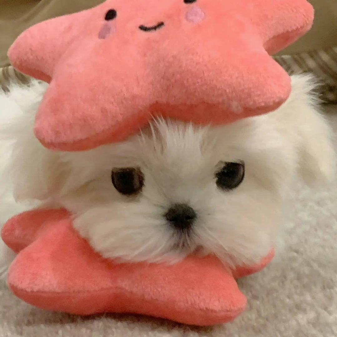 烦恼少一点nn