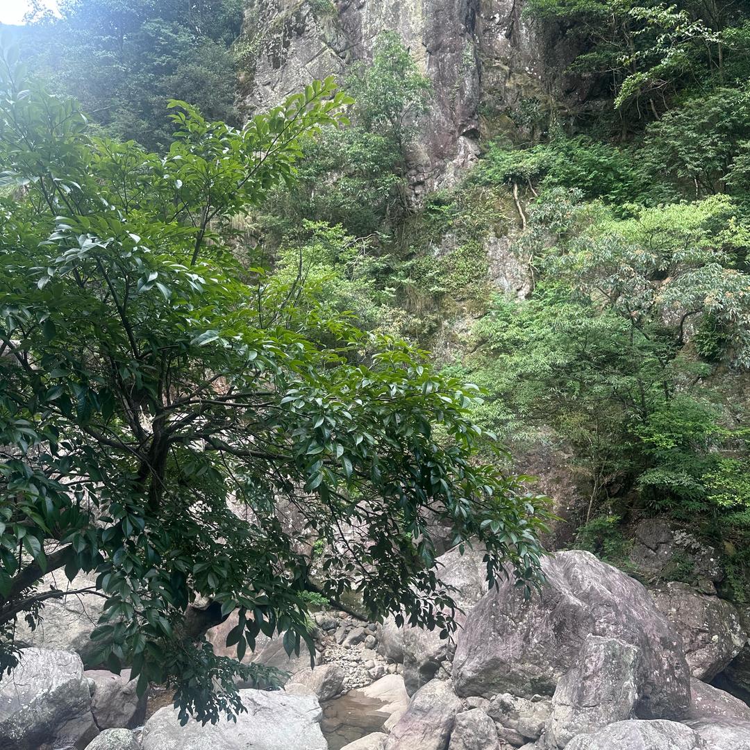 自由！！！！！！！！！！