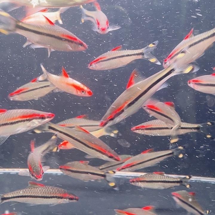 润诚鱼场