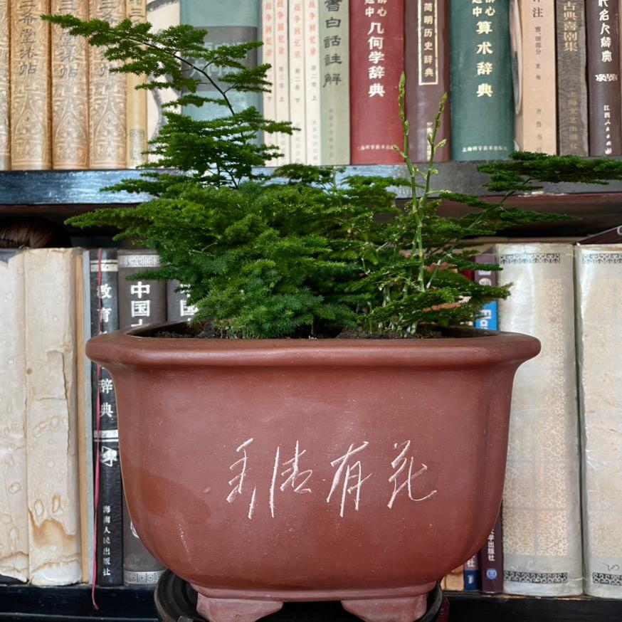 滕玉龙