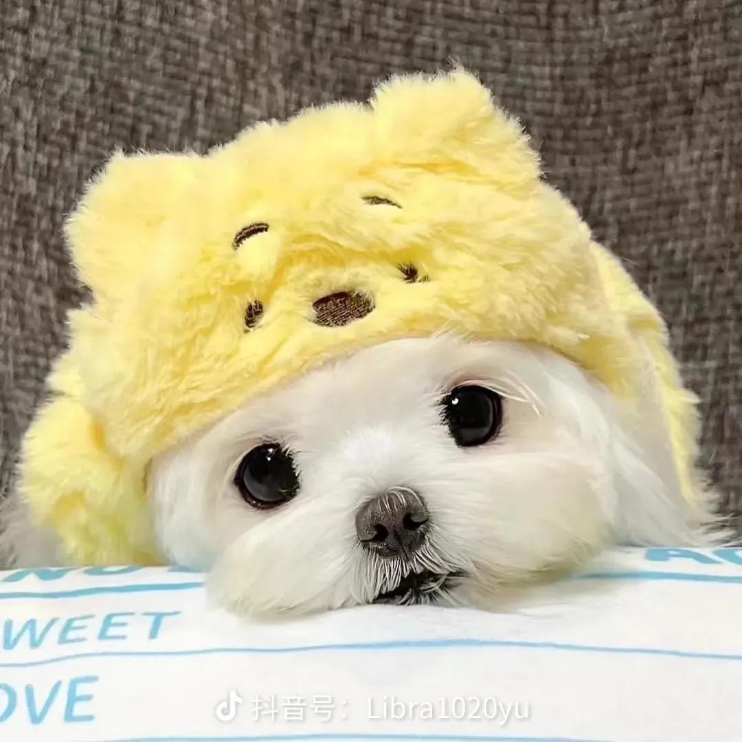 睡不醒