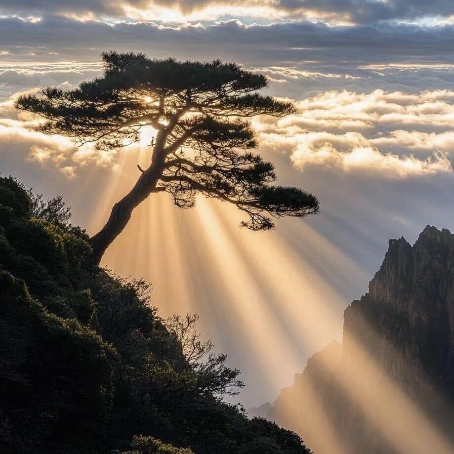 挂满幸运星的梦