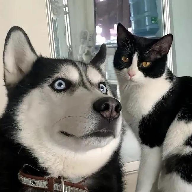 思余