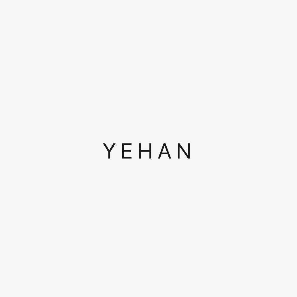 YE HAN 葉翰
