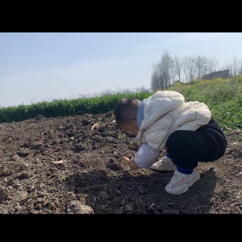 辰辰小可爱