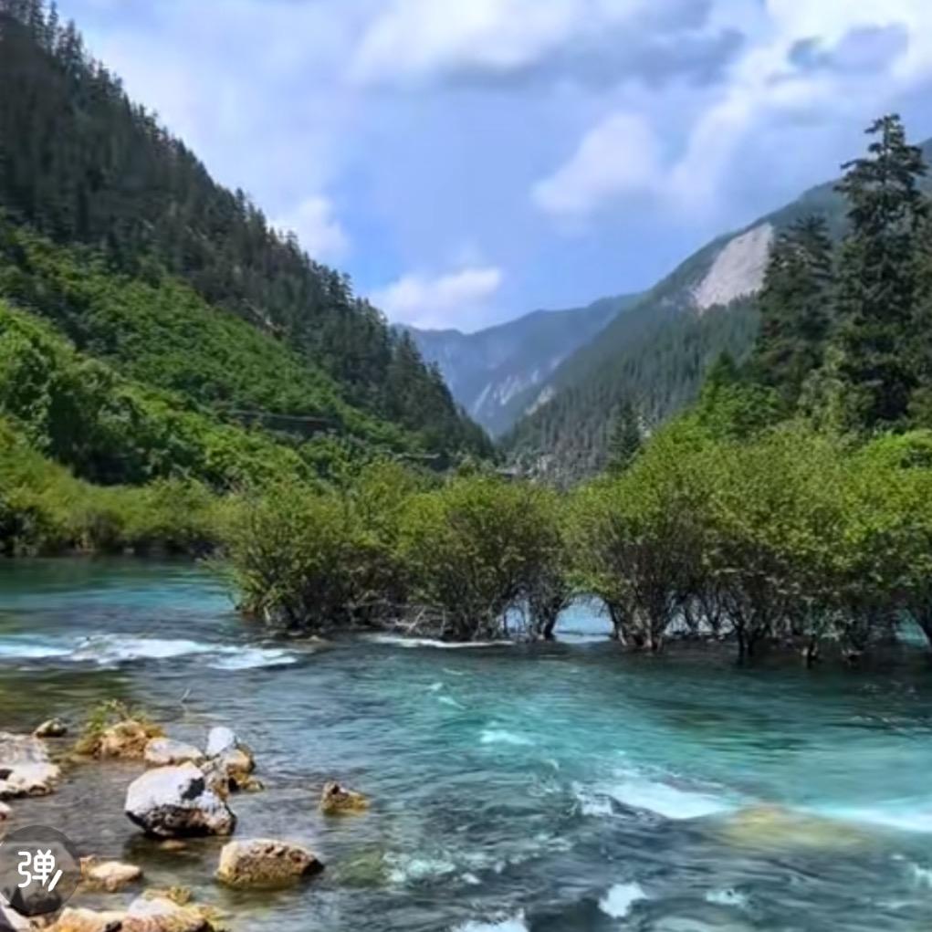 广州桦楼官方号