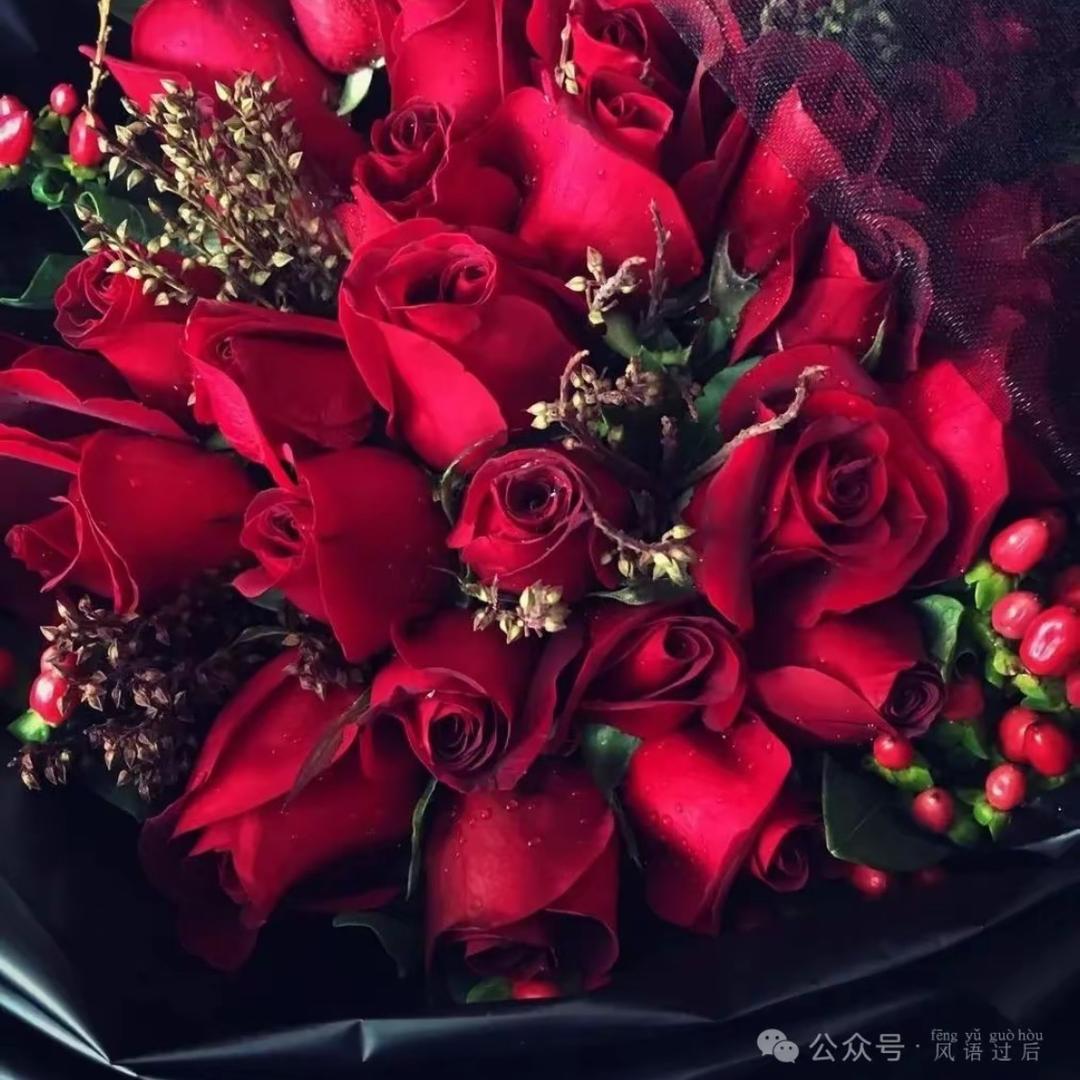 Mihri🌹