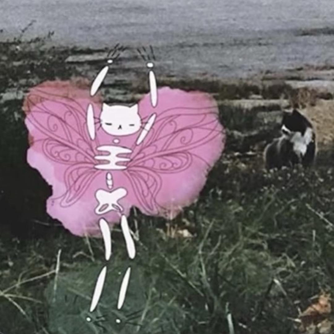 鱼旦
