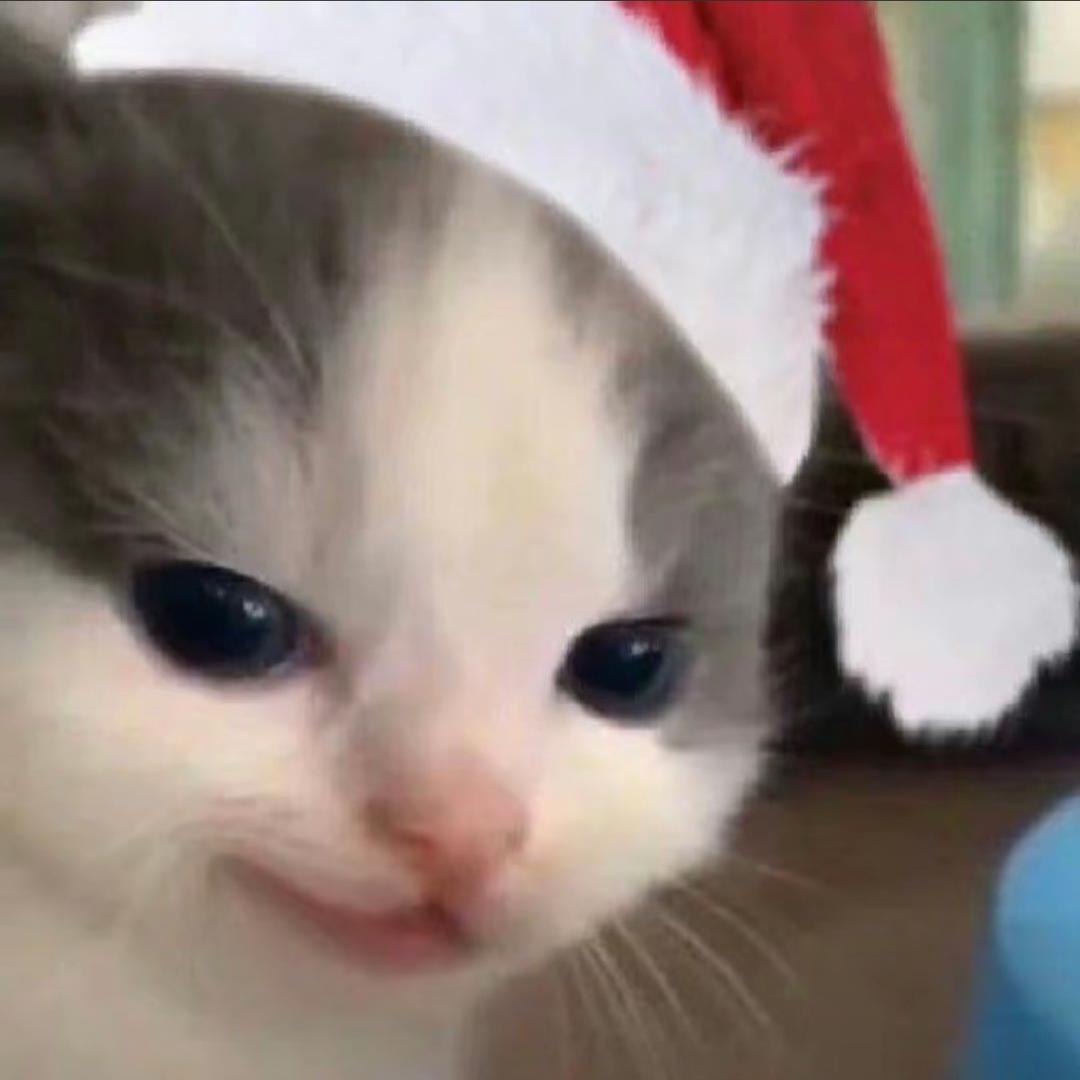 呆呆
