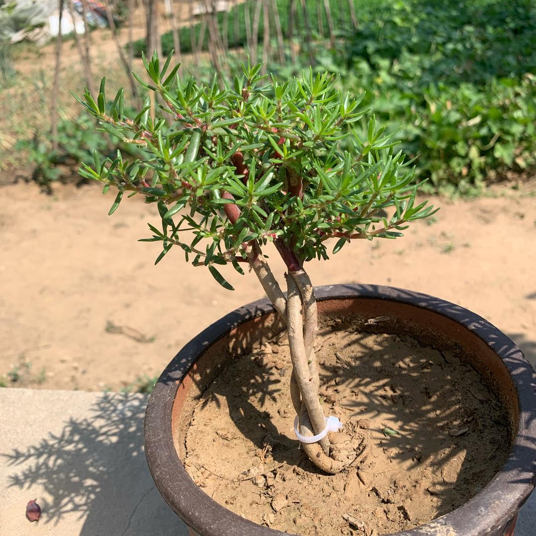 爱家人爱生活（拒私聊🙏🙏）