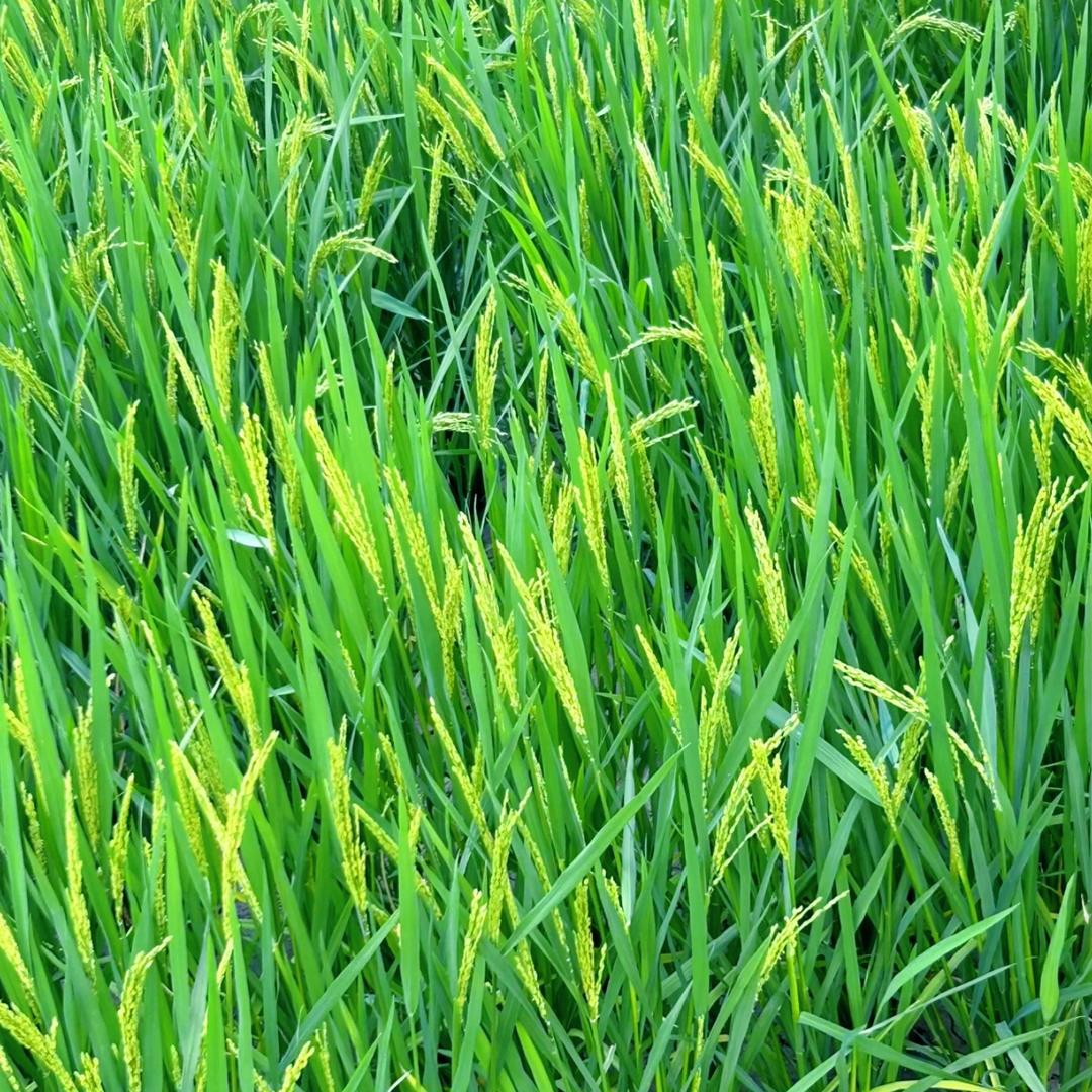 黄姐分享