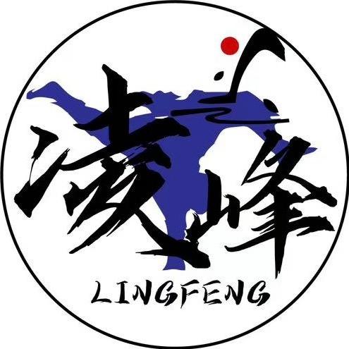 凌峰散打空翻武道