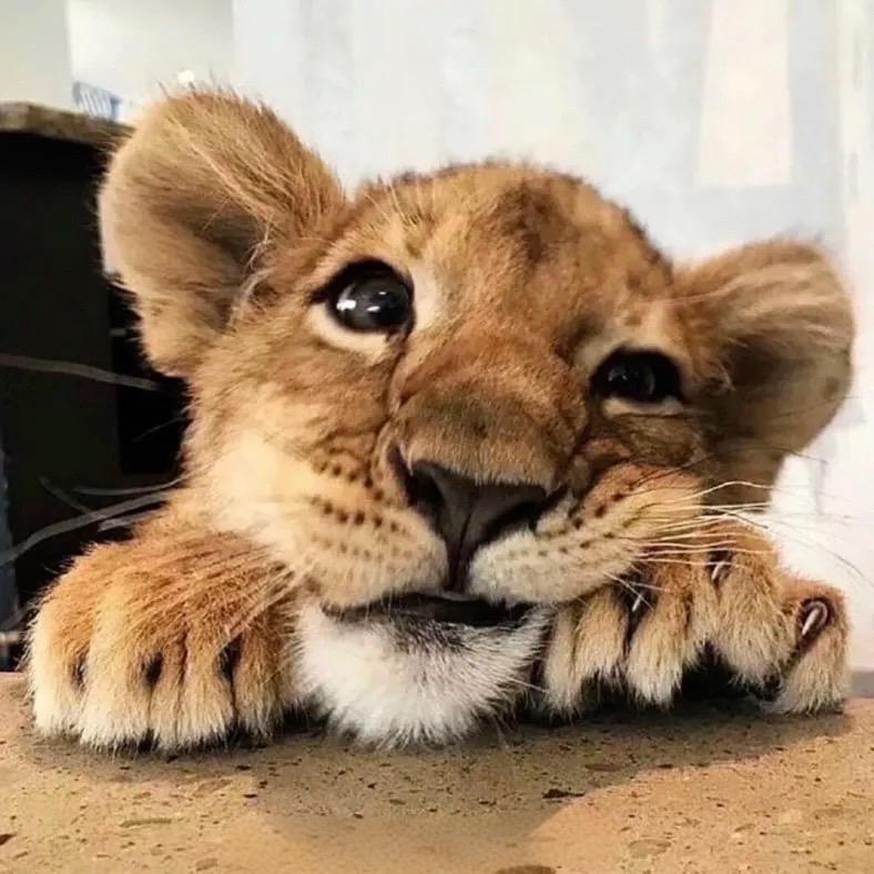 八月.