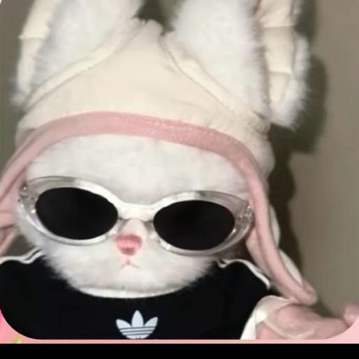 悲伤的老母鸡汤