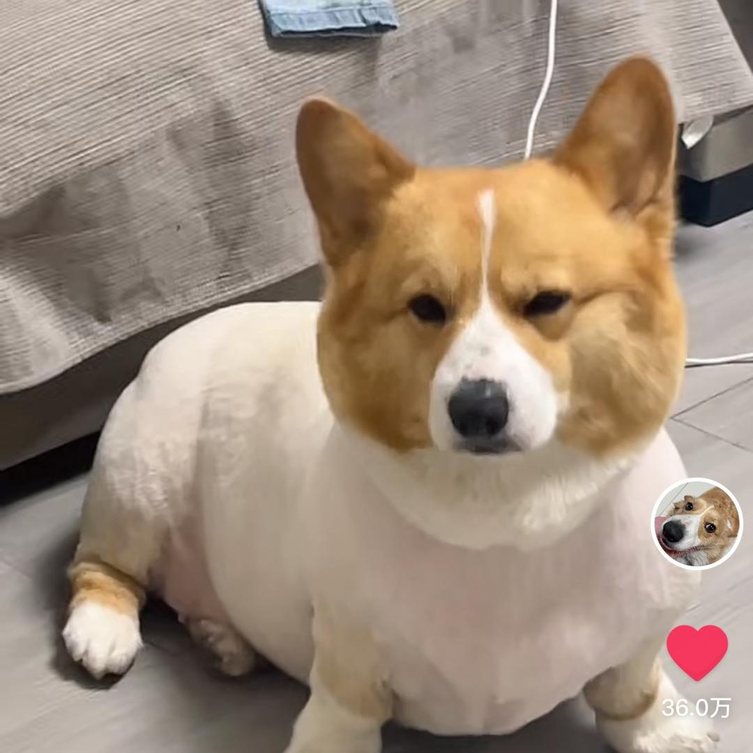 是小土豆呀