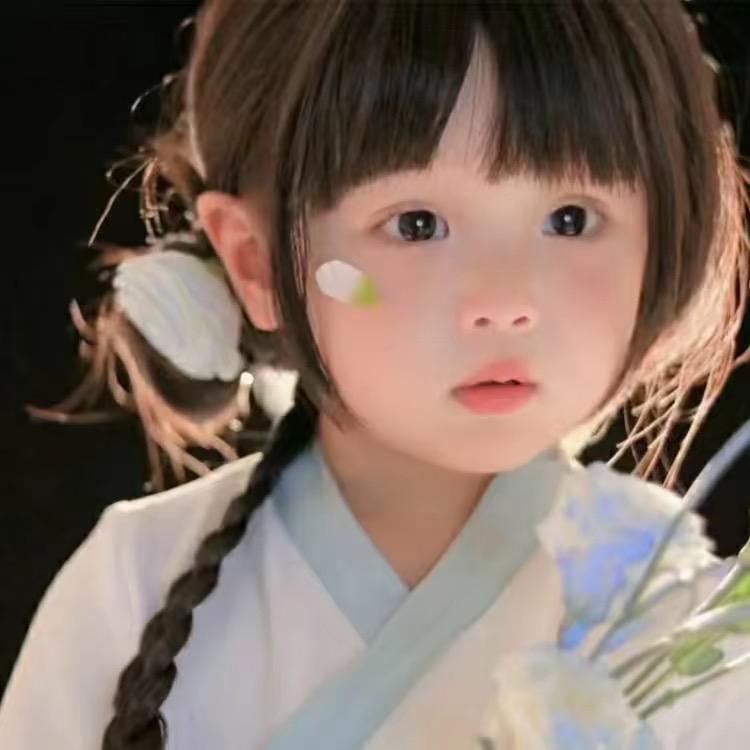 星光赶路人