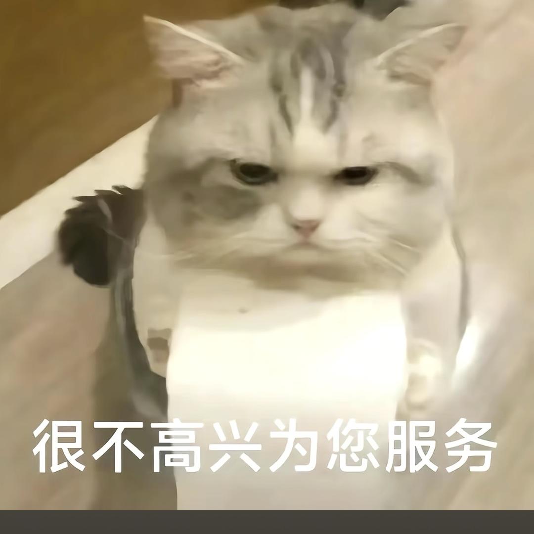 乌龟