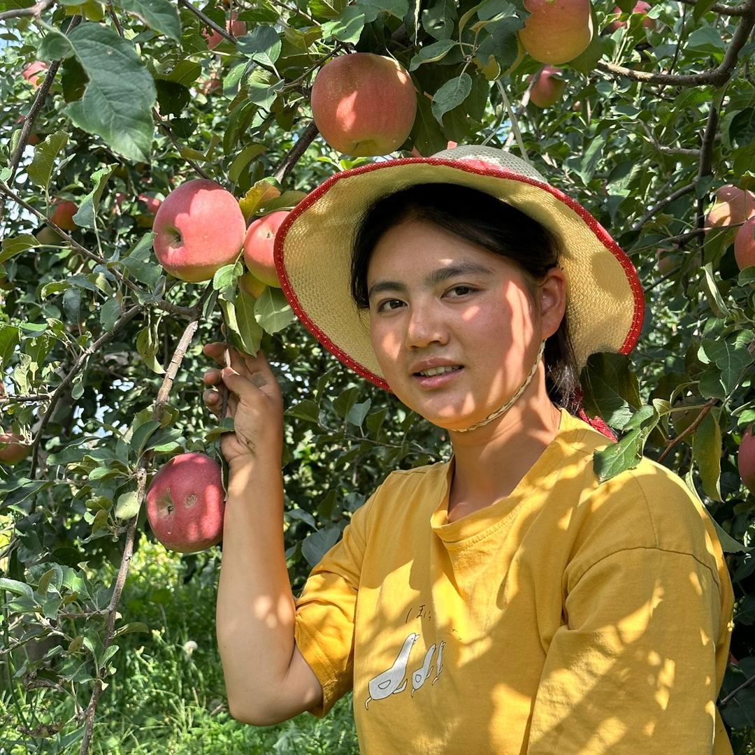 浦实的小苹果