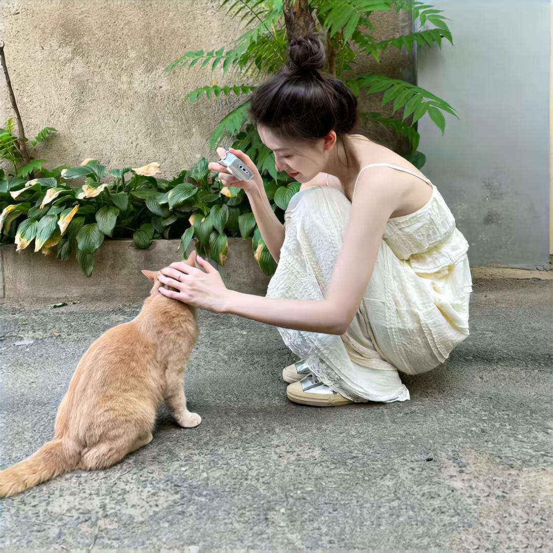 林灯灯
