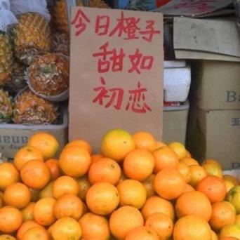 橙子Pro