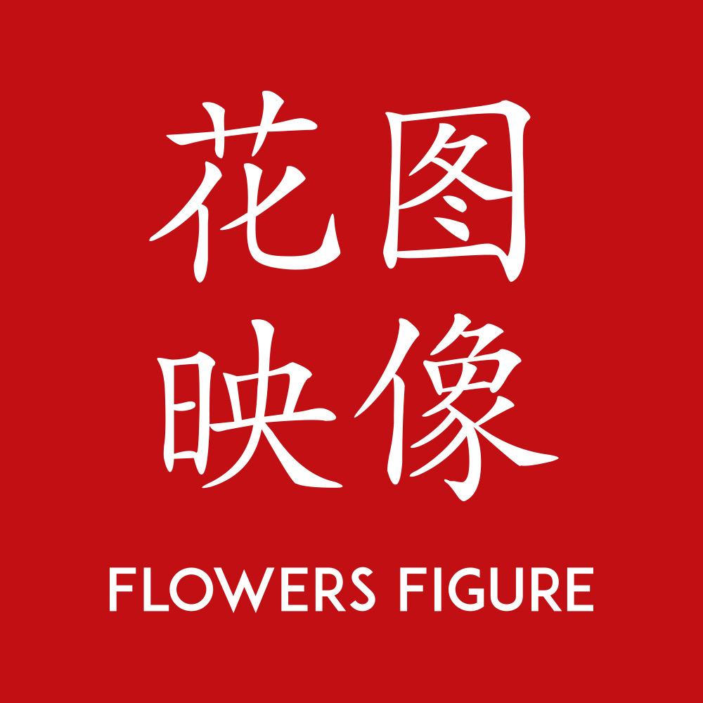 花图映像