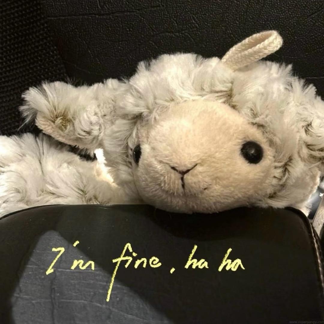 汤圆小丸子☁️