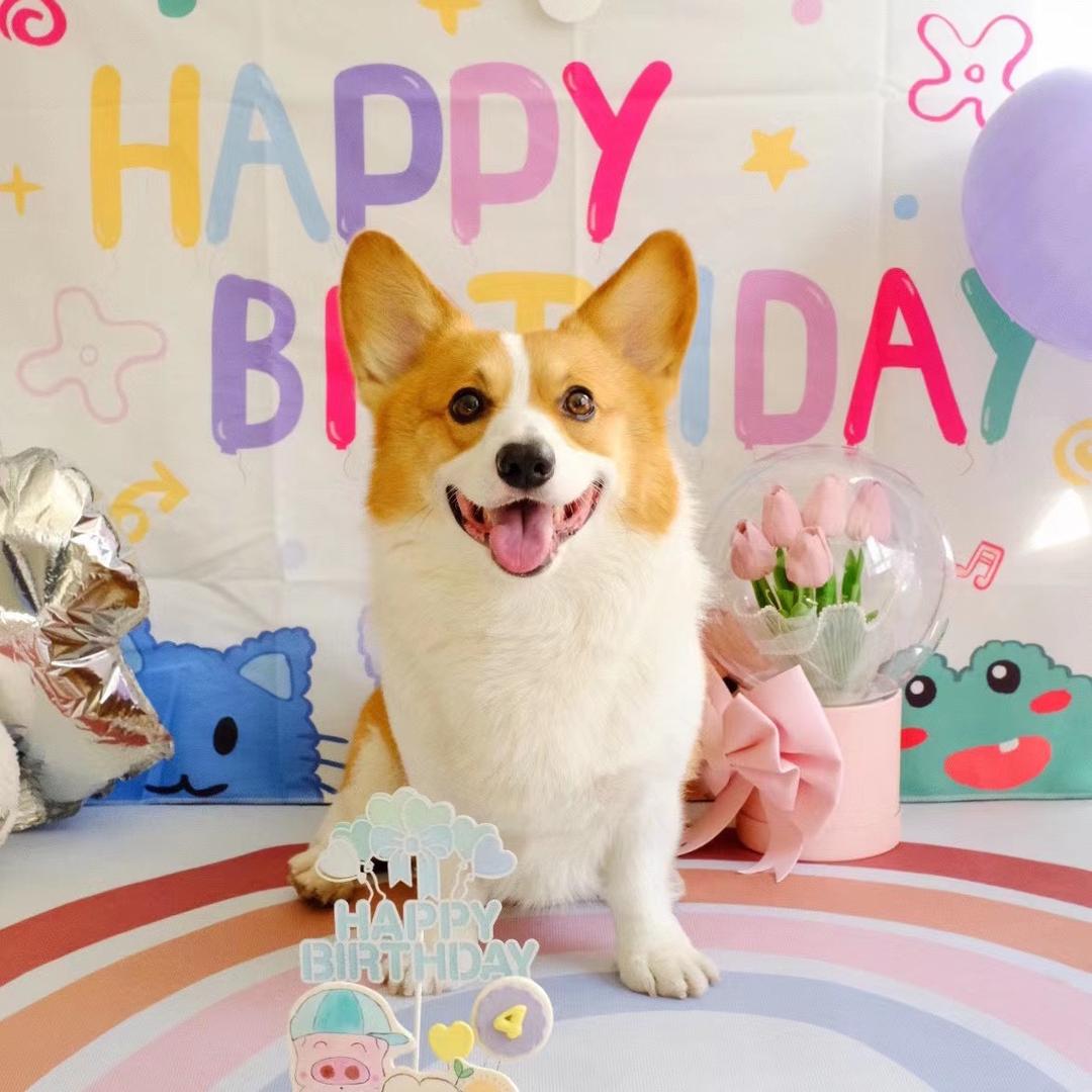 Cooper的生活日记😊