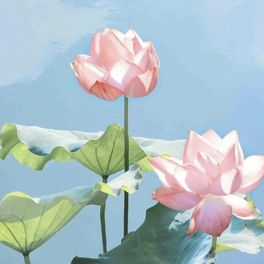 吉林鹿冬冬