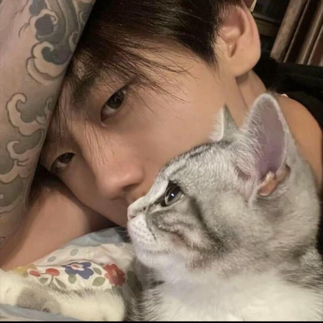 我比满舒克贪🧩