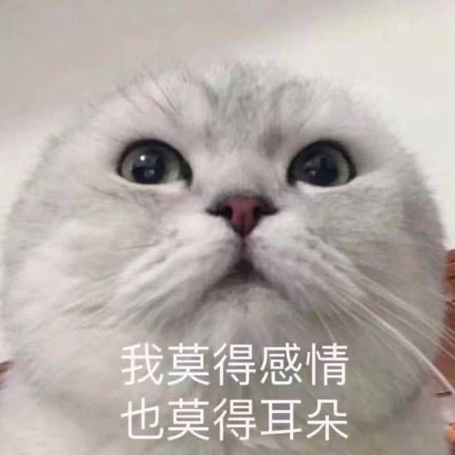 项城周杰伦