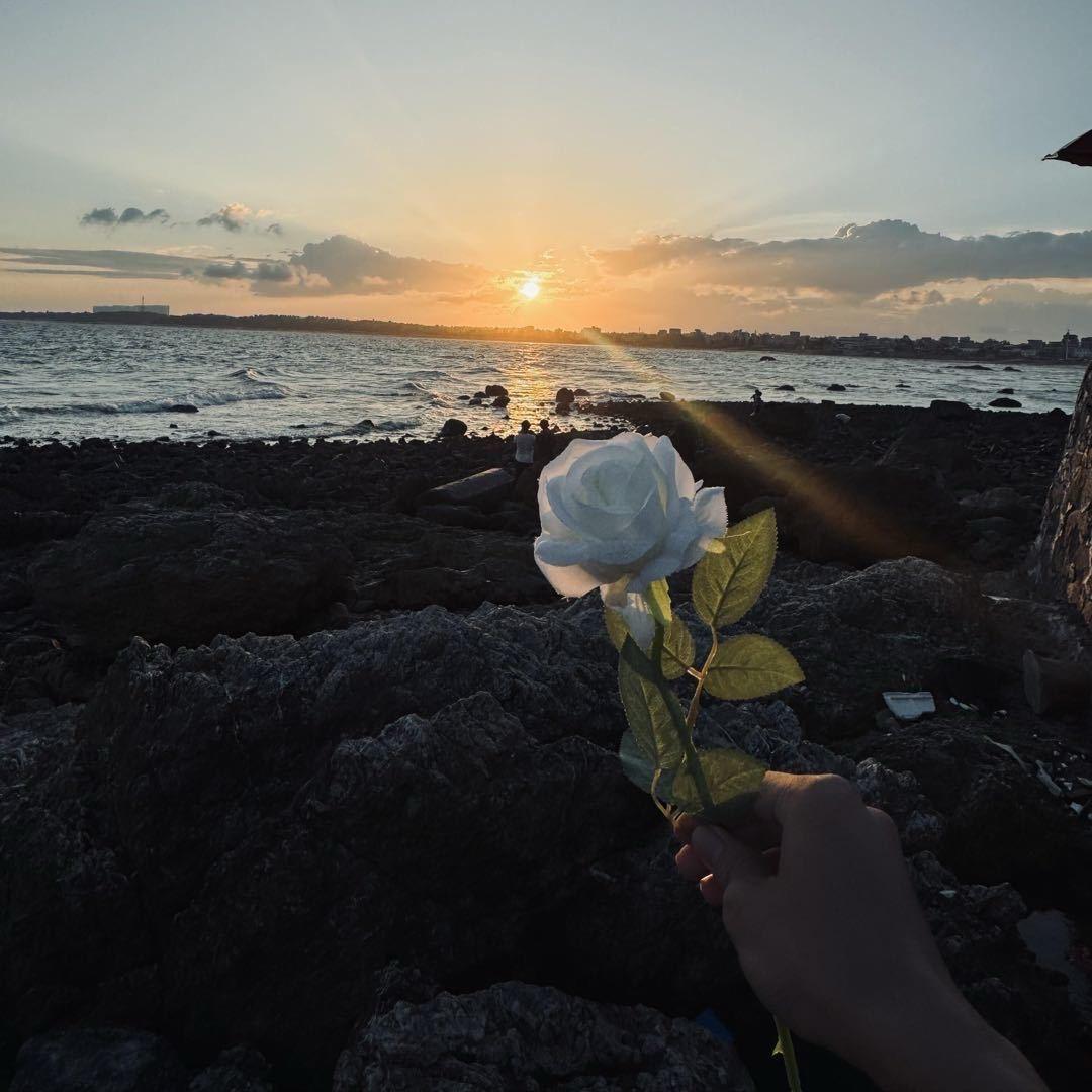 🌸花开富贵🌼.