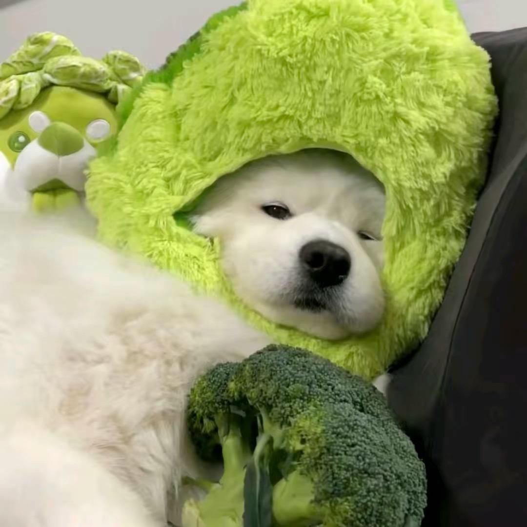 绍景臻选阁