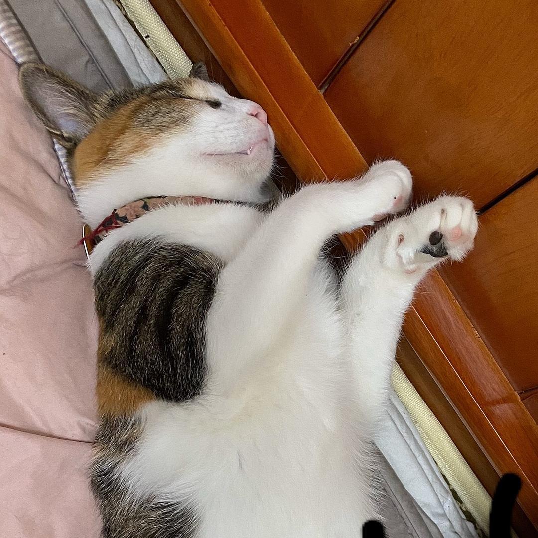 王七月