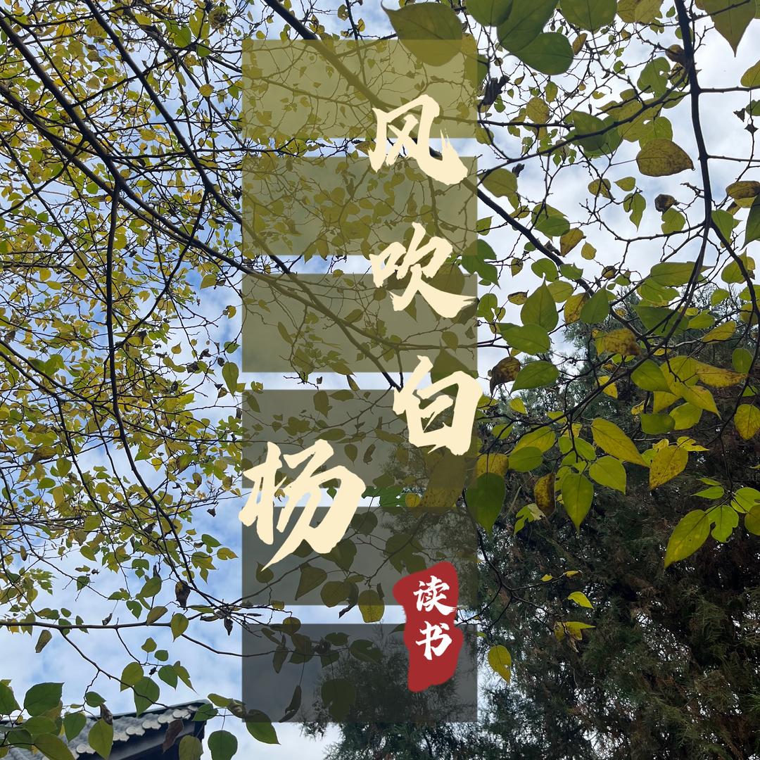 🌿风吹白杨读书