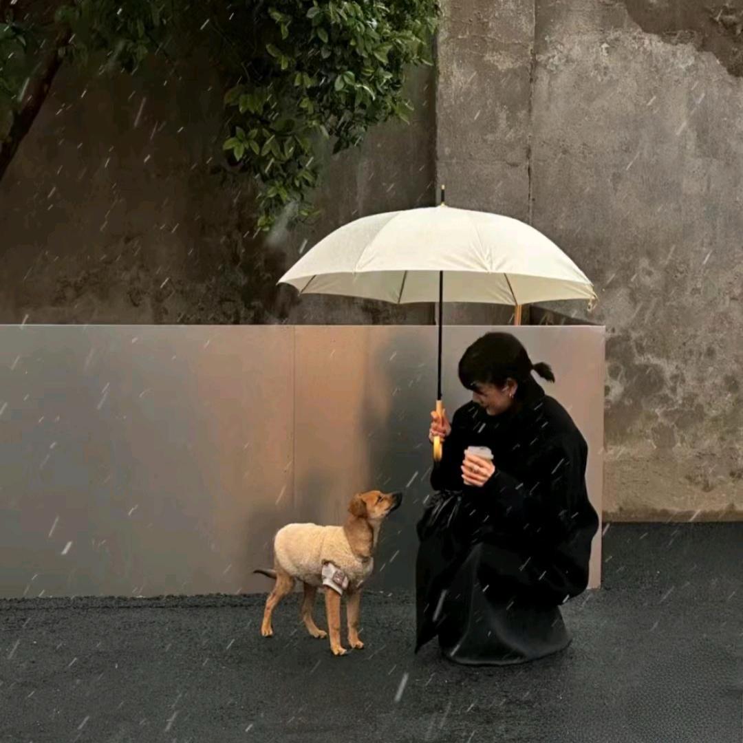 小虎牙.