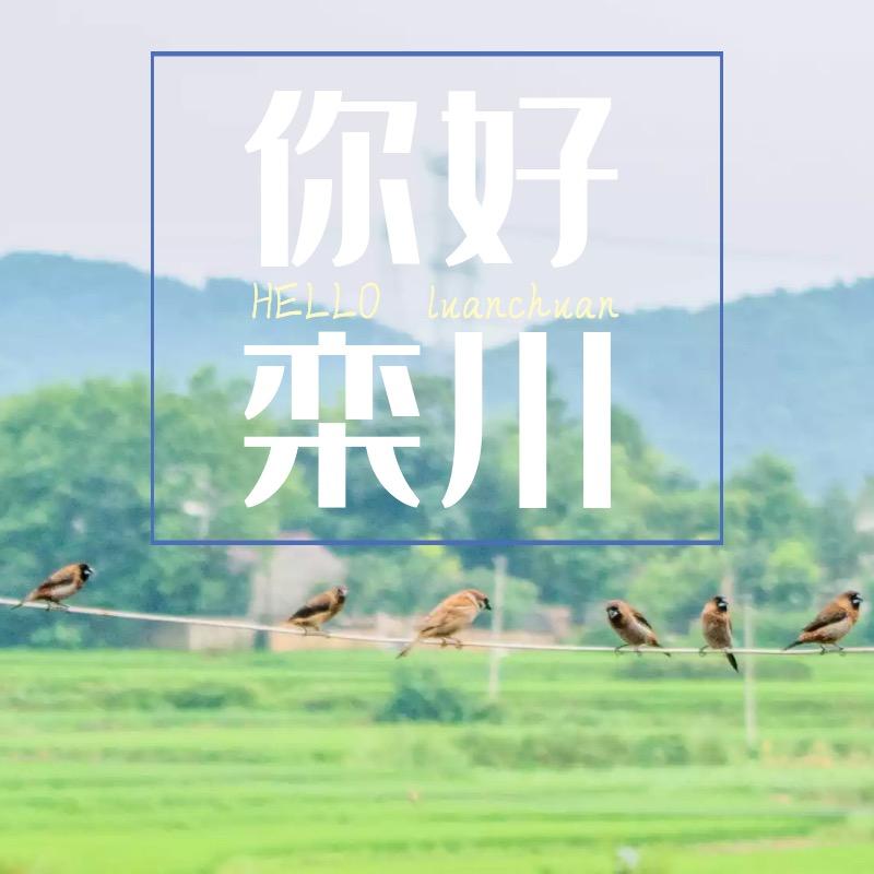 你好栾川