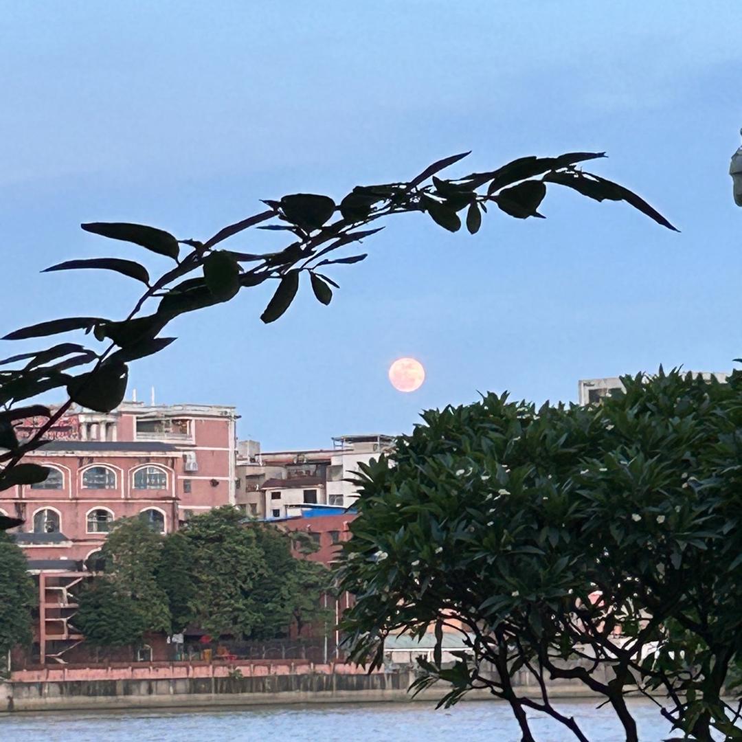 华涛好物女装专营店