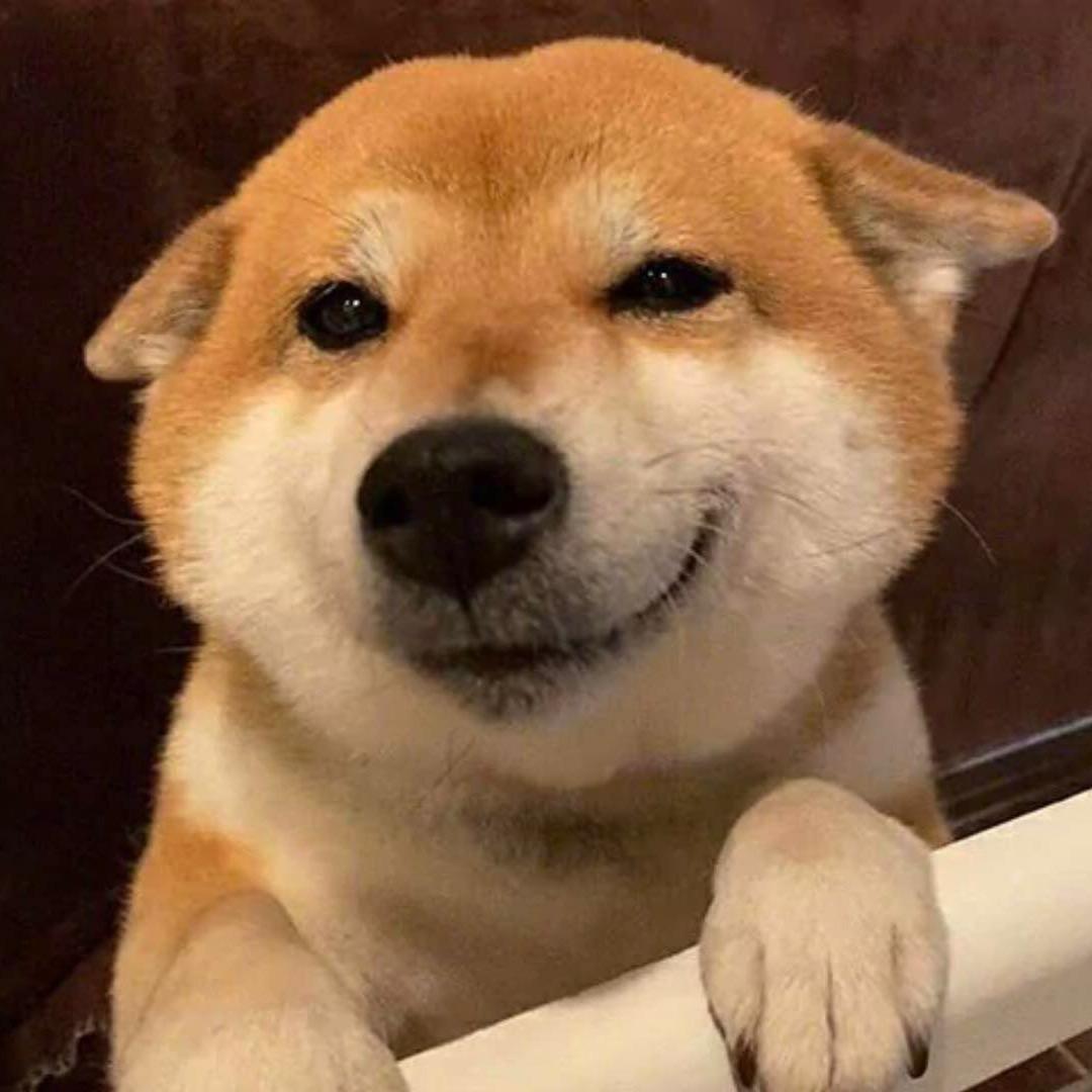 ¥恒¥行霸道