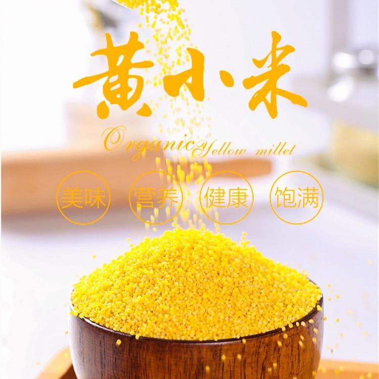 山西小米哥