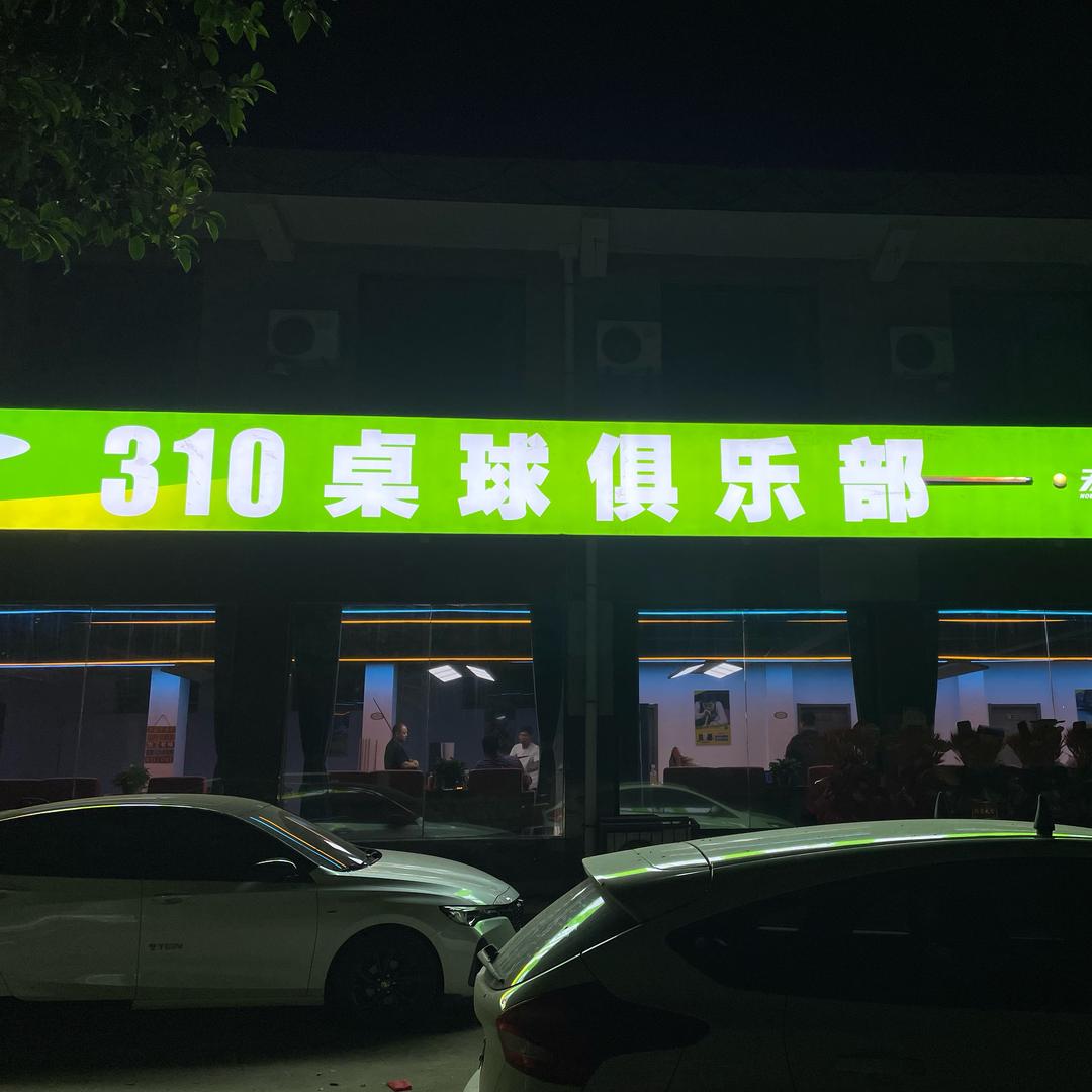 310台球