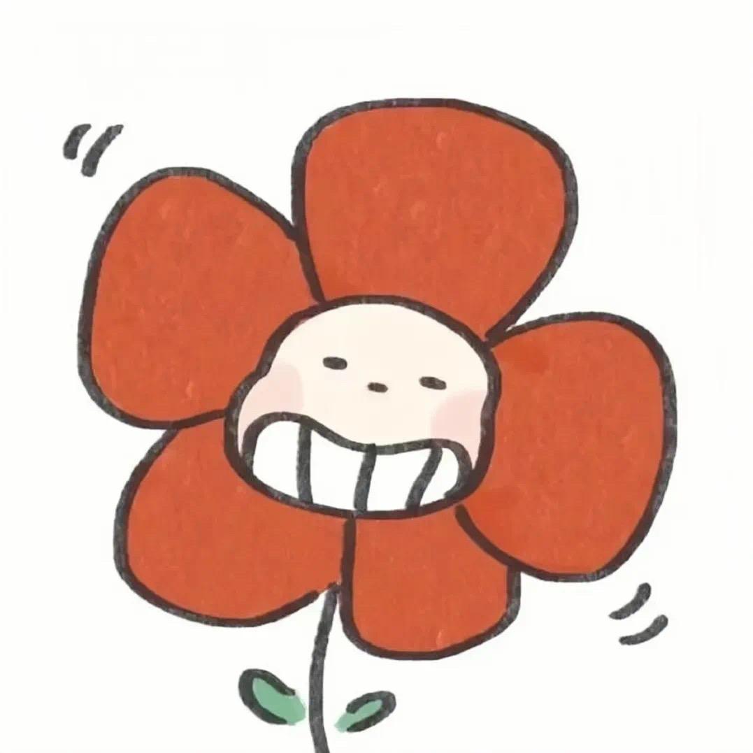 超级无敌欧气的拖鞋