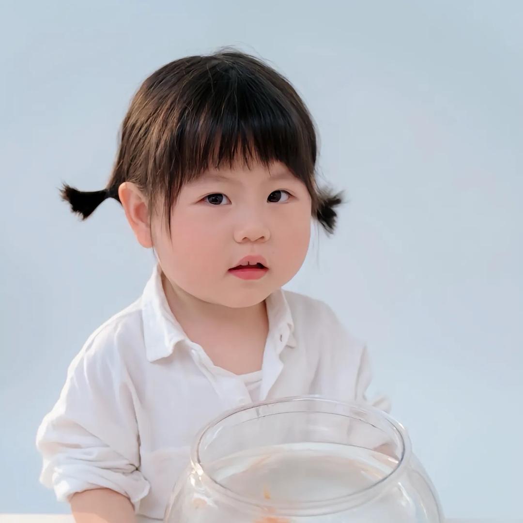 夏凡菜